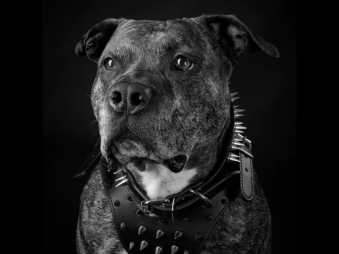 ad Photographie
